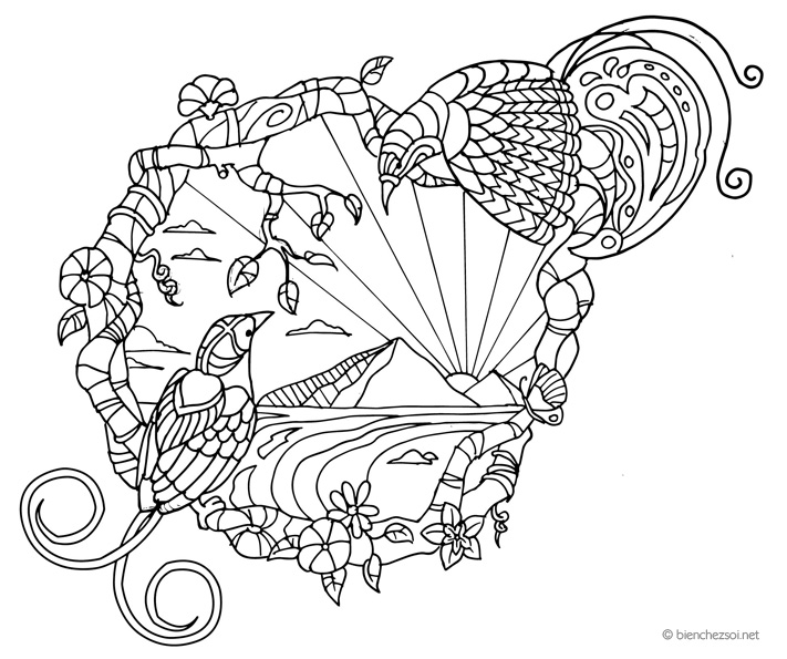 Coloriage Oiseaux De Mer