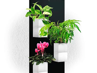 Concevez un mur végétal avec ce kit décoratif