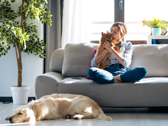 5 conseils pour adopter un chien en appartement