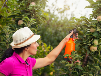 5 insecticides naturels pour jardiner tranquille