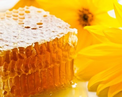 Adoptez les produits de la ruche