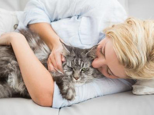 Zoothérapie : quand l'animal vous soigne
