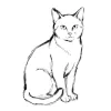 J'aime les animaux