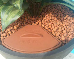 Aquasolo arrose vos plantes
