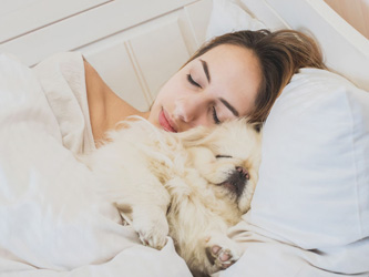 Pour un meilleur sommeil, dormez avec votre chien !