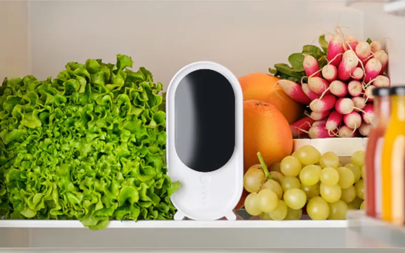 Ce purificateur d'air pour frigo permet de doubler la durée de vie des fruits et légumes
