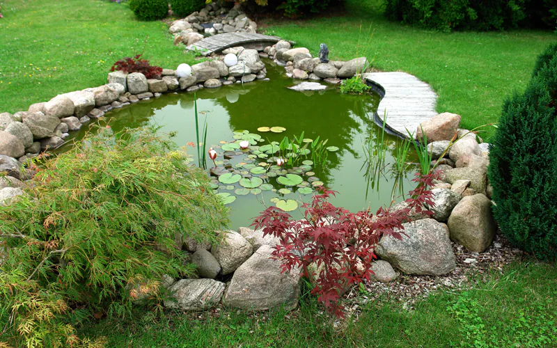 Aménager un bassin à poissons dans son jardin