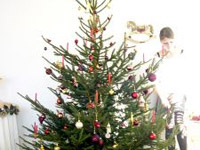 Ikéa renouvelle son offre de sapin