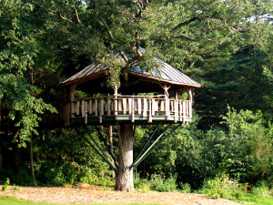 La cabane en bois, un rêve d'enfant accessible