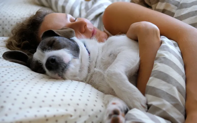 Dormir avec son animal de compagnie&nbsp;: un propriétaire sur deux le fait&nbsp;!