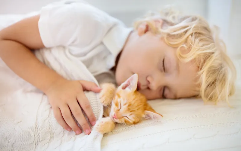 enfant dort avec chat