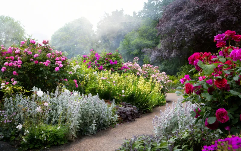 Le jardin à l'anglaise, entre chaos et élégance