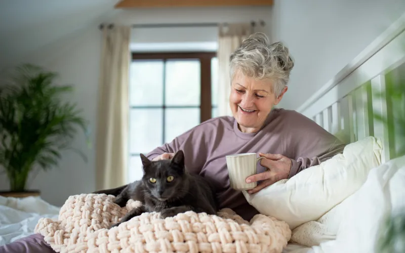 senior et son chat
