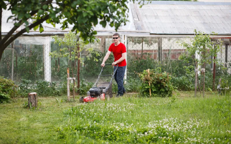 Pelouse&nbsp;: les avantages méconnus de la tonte raisonnée