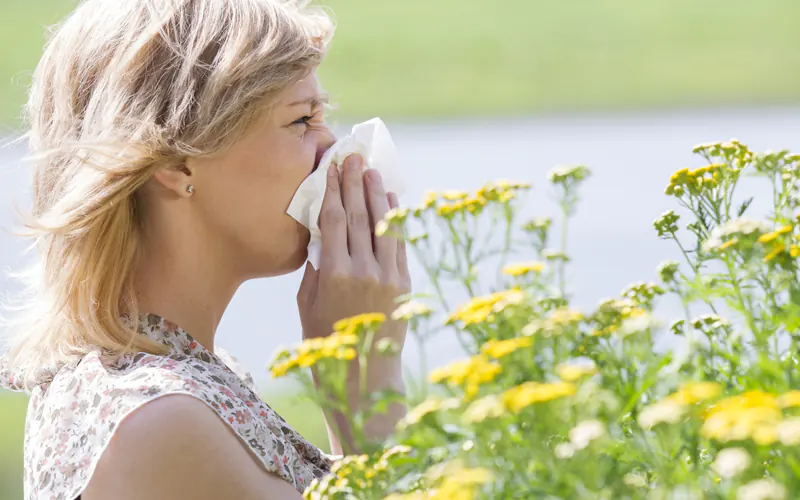Comment se protéger du pollen à la maison ?