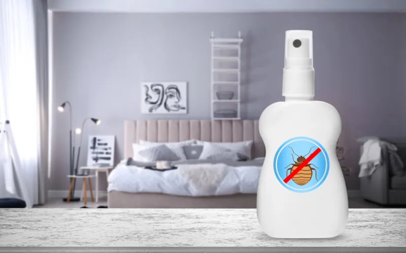 Punaises de lit : les 5 étapes d'un traitement chimique