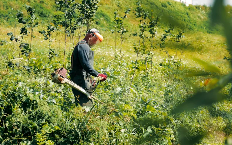 Vous risquez une grosse amende si vous ne faites pas ça dans votre jardin