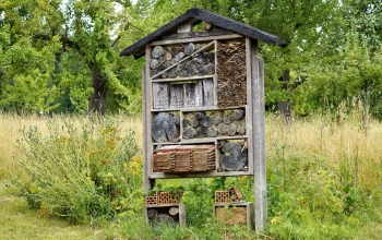Construire un hôtel à insectes dans son jardin